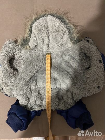 Одежда для маленьких собак