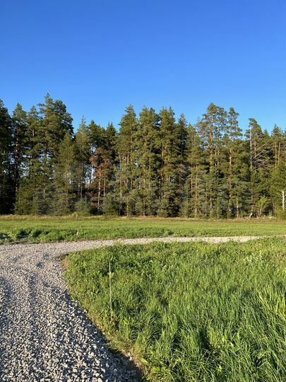 Участок 7,5 сот. (ИЖС)