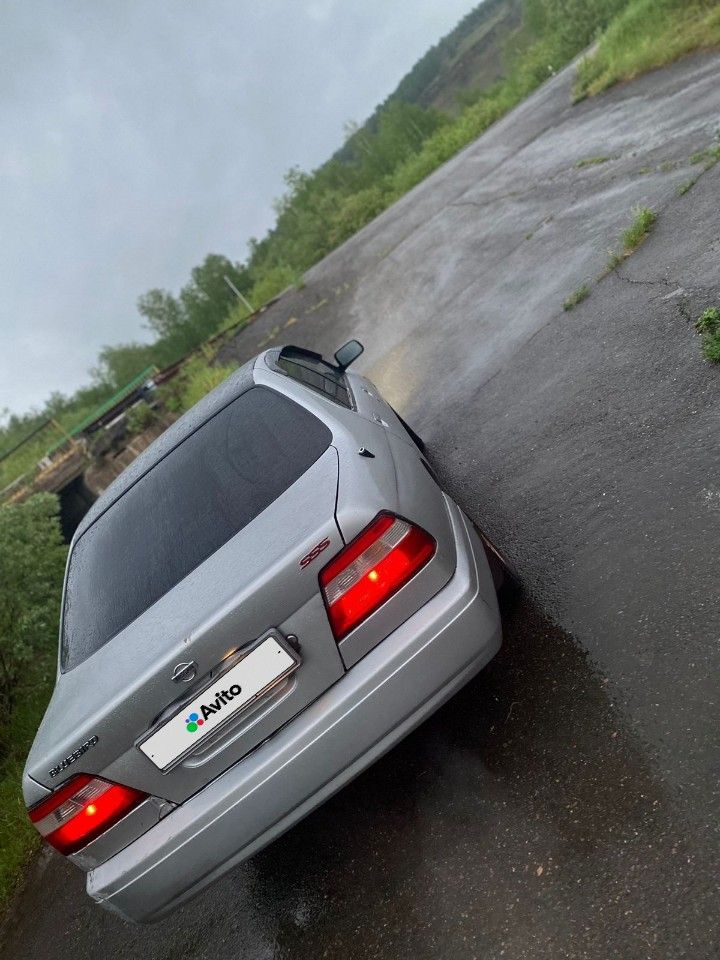 Nissan Bluebird: фото из отзыва