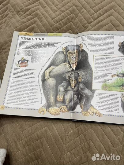 Большая энциклопедия