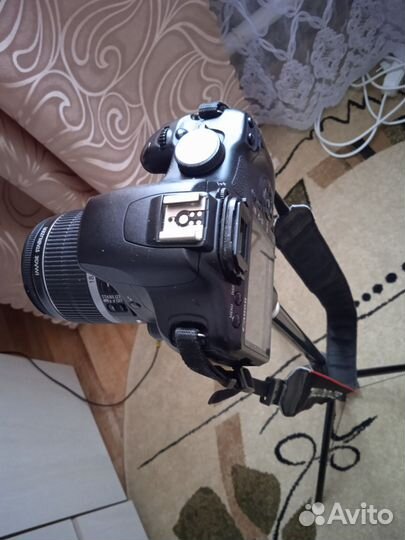 Зеркальный фотоаппарат canon eos 500d