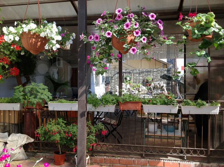 Комната 25 м² в 8-к., 2/4 эт.