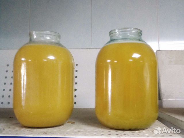 Мед алтайский