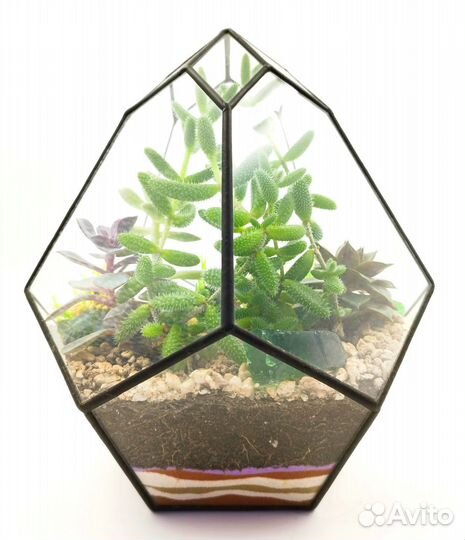 Флорариум 