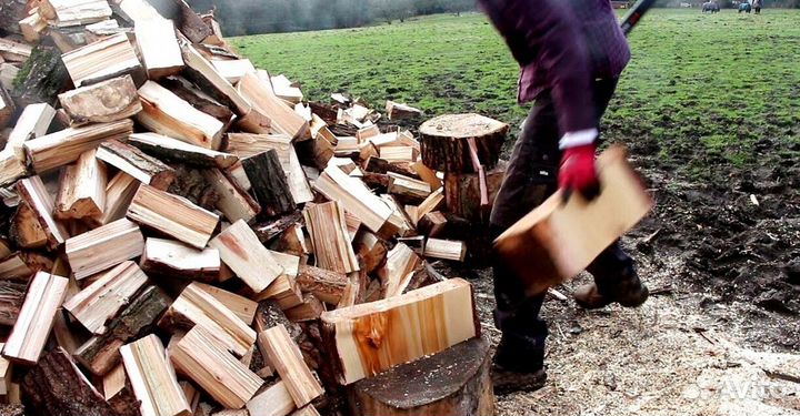 Дрова в СПБ