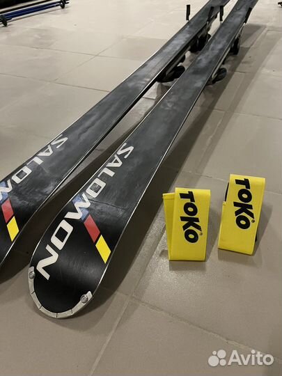 Горные лыжи