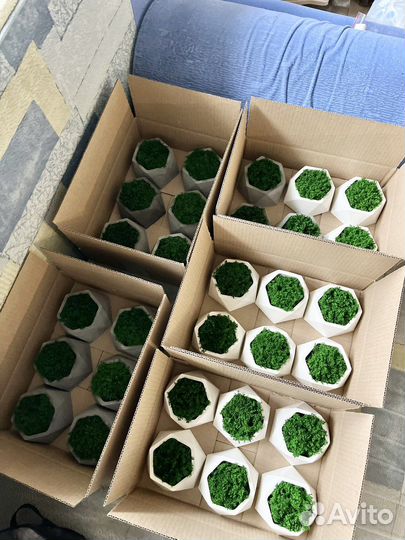 Декор для дома из гипса опт/розница