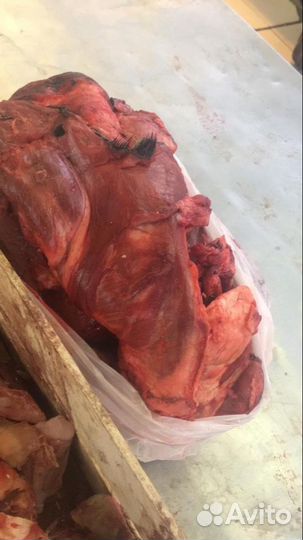 Обрезь головная говяжья