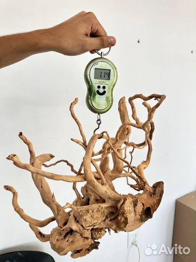 Коряги и корни для творчества и интерьера