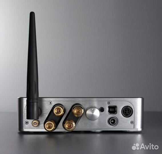 Интегральный усилитель Chord Electronics Maxx silv