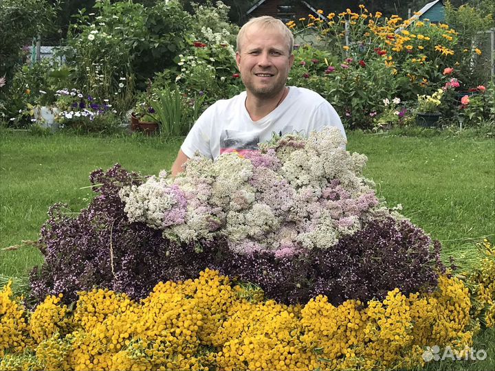 Веники для бани