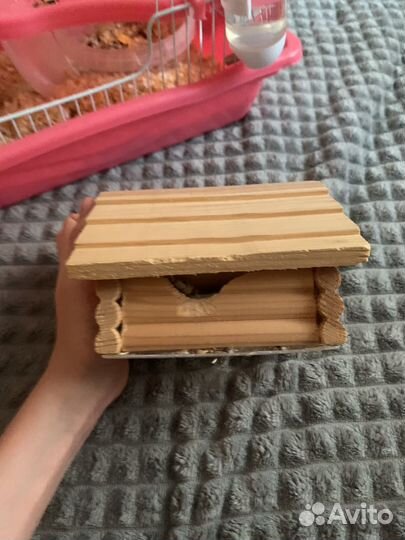 Джунгарский хомяк с клеткой