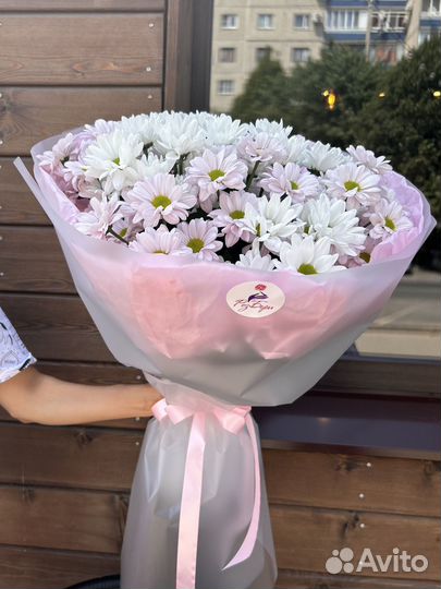 Хризантемы с доставкой в Краснодаре