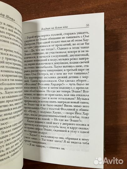 Теодор Шторм. Всадник на белом коне