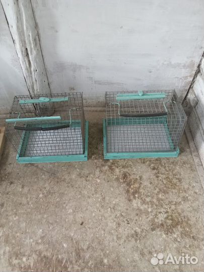 Инвентарь для голубей