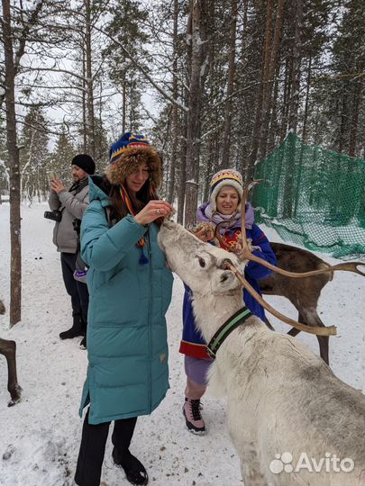 Экскурсия Саамская деревня Самь Сыйт