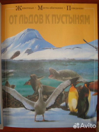 Книга Мир животных