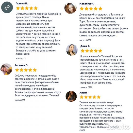 Догситтер, передержка кошек, передержка собак