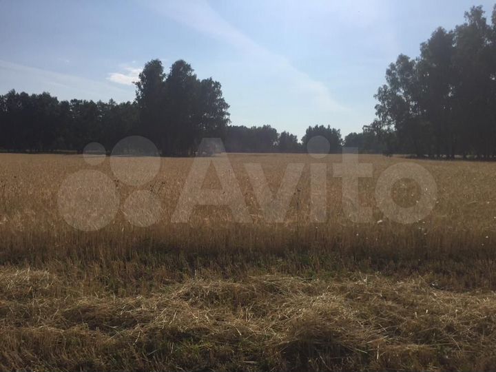 Участок 12,47 га (СНТ, ДНП)