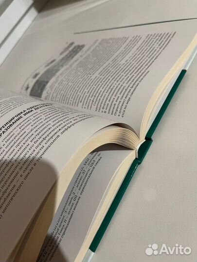 Продажа книги по гистологии, автор В.Л.Быков