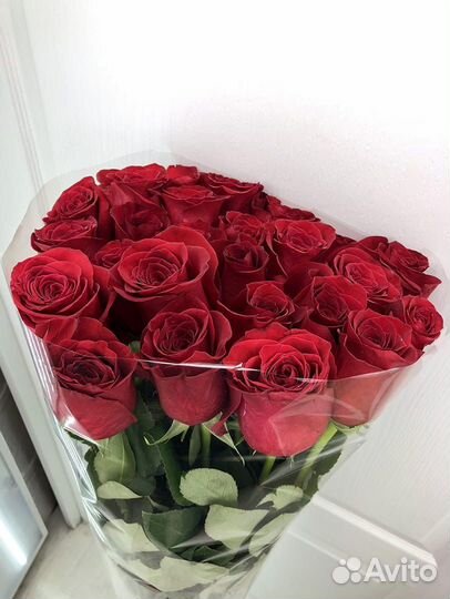 Роза Гиганты 90-120-130-140 см Эквадор