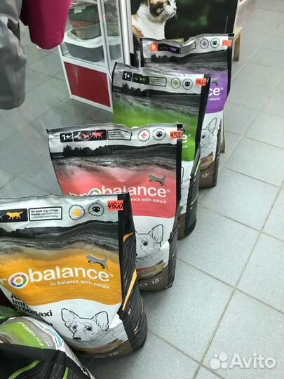 Пробаланс, Monge, Gemon, Проплан, Роял Канин