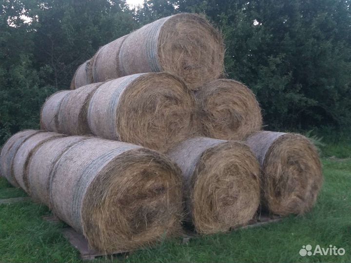 Сено в тюках