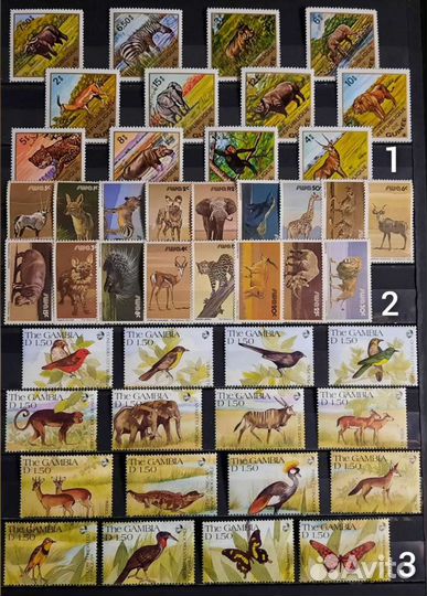 Коллекция фауна 60-90х 4 (чистые )