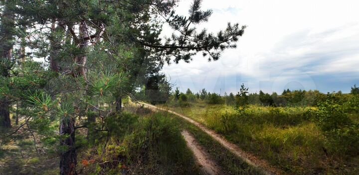 Участок 10 сот. (ИЖС)