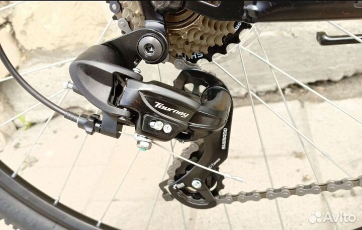 Forward Sporting 29 2023 Новый