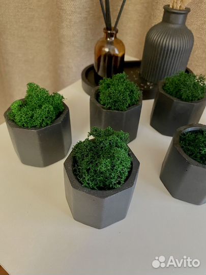 Гипс Кашпо и мох
