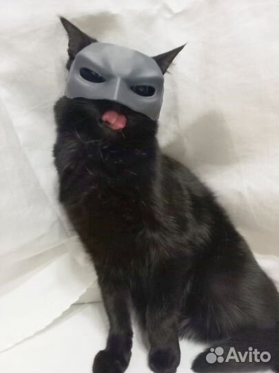 Маска для кота