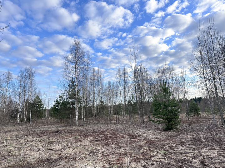 Участок 7,04 га (ИЖС)