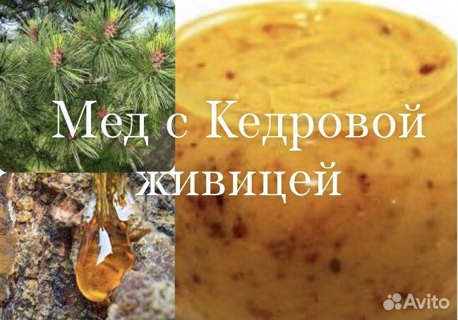 Горный мед с Кедровой живицей, пыльцой, Прополисом