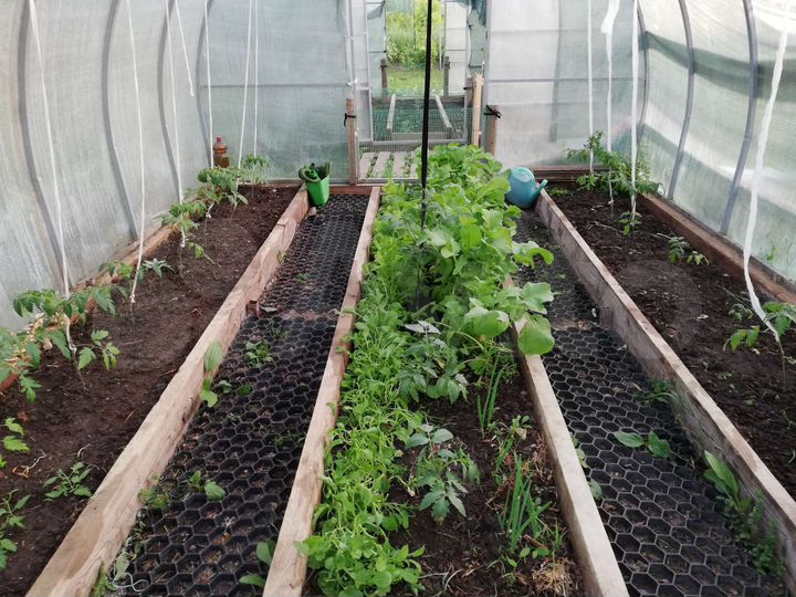 Дом 61 м² на участке 10 сот.