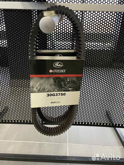 Ремень вариатора