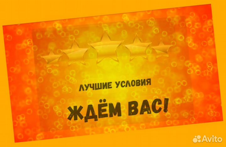 Оператор линии Выплаты еженедельно Без опыта М/Ж