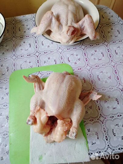 Мясо домашнего бройлера