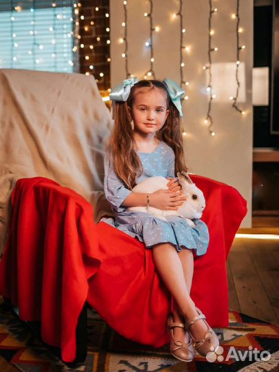 Кролики, ёжик и утята в аренду