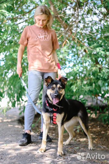 Жизнерадостная Рут ищет дом