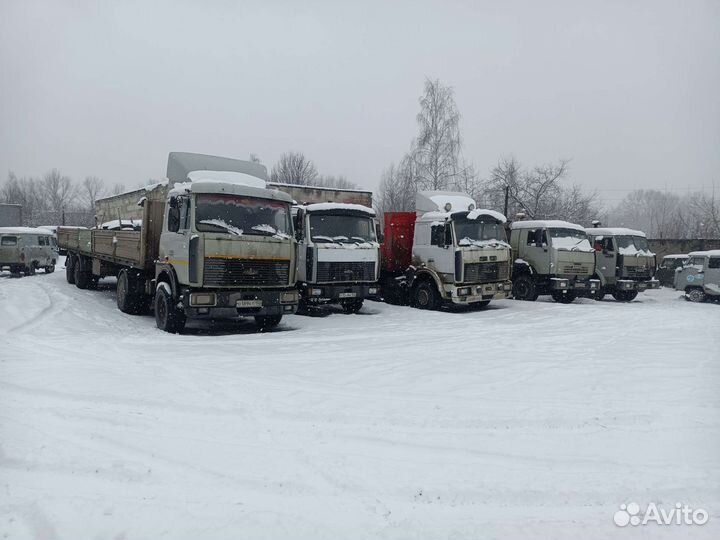 Услуги Длинномеров в Нижнем Новгороде