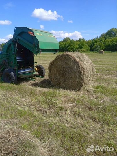 Продам сено в тюках по 350кг оптом