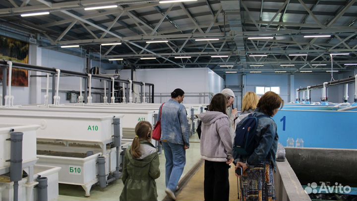 Экскурсия для гурманов «Рыбная fish-ка Татарстана»