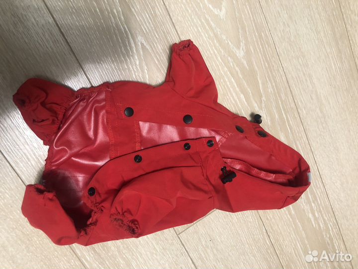 Одежда для собак мелких пород