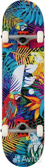 Скейтборд в сборе Footwork tropical Размер 8x31.5