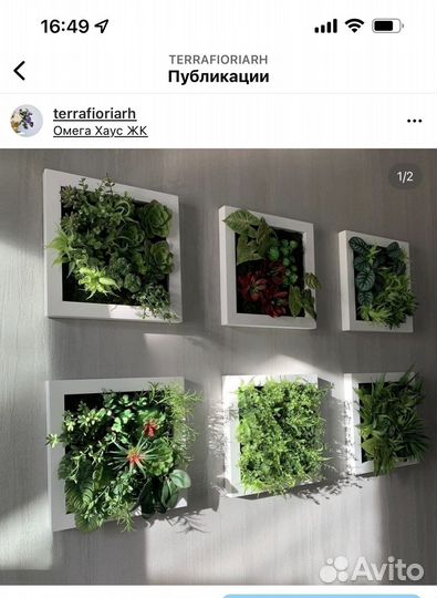 Озеленение мхом или зеленью