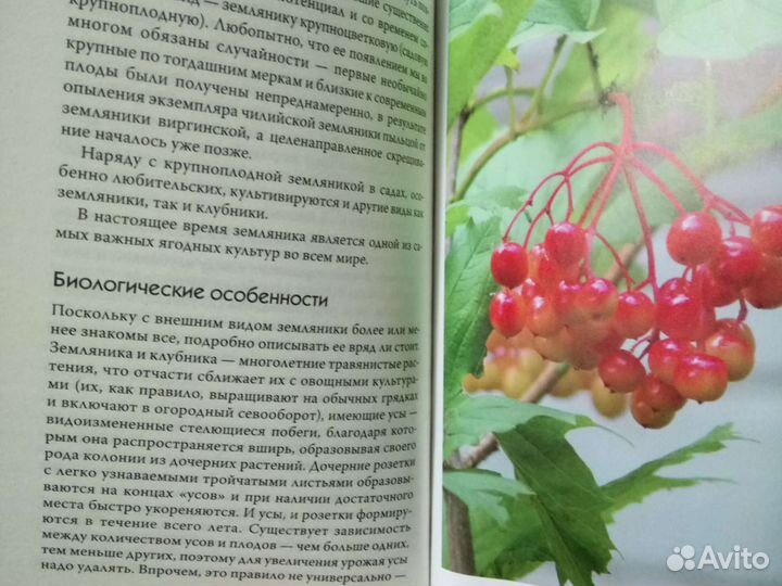 Энциклопедия садовода огородника