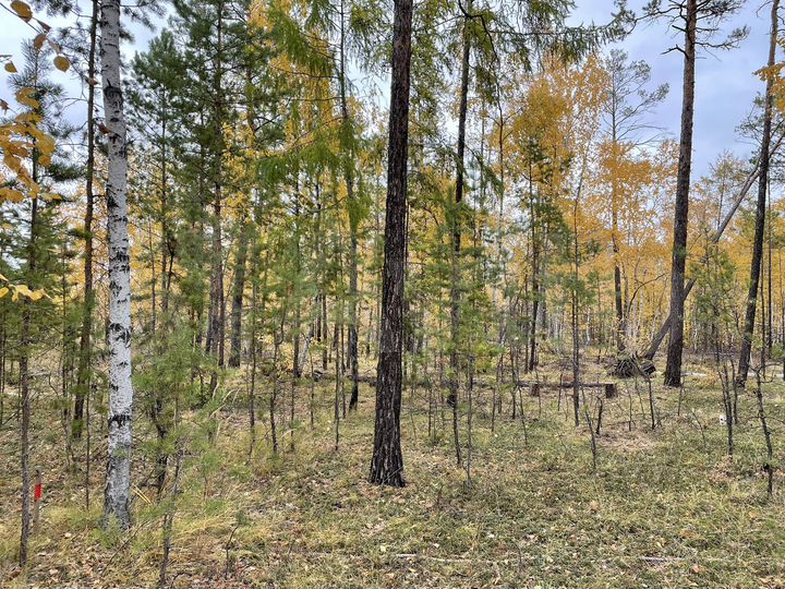 Участок 8,51 га (ИЖС)