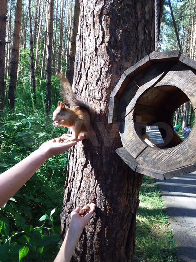 2-к. квартира, 51 м², 5/5 эт.