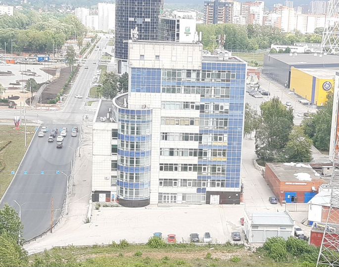 Торговая площадь 1537 м²